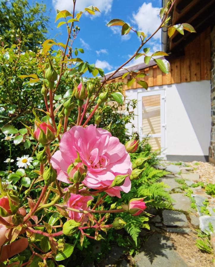 Ferienhaus Eifelrose Simmerath Exterior foto
