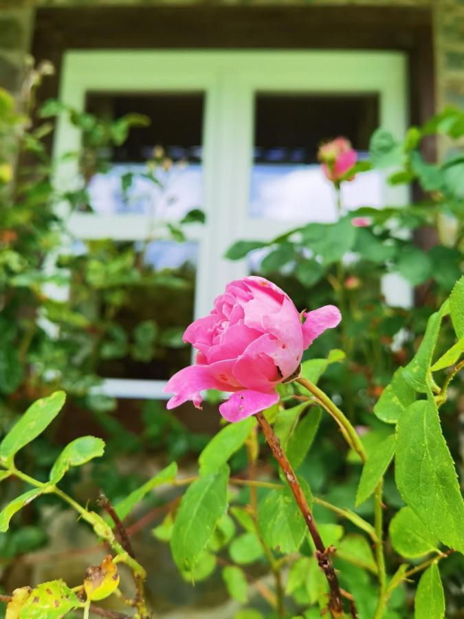 Ferienhaus Eifelrose Simmerath Exterior foto